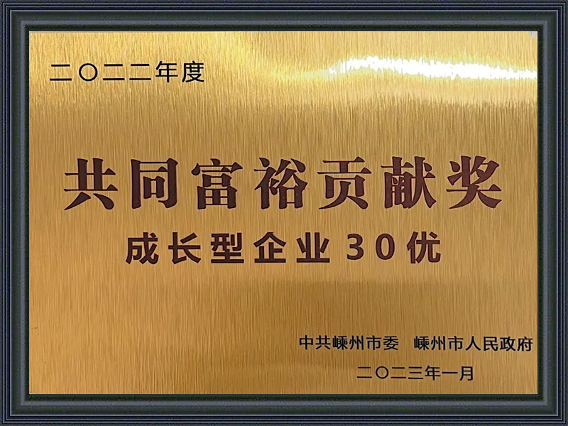 共同富裕贡献奖