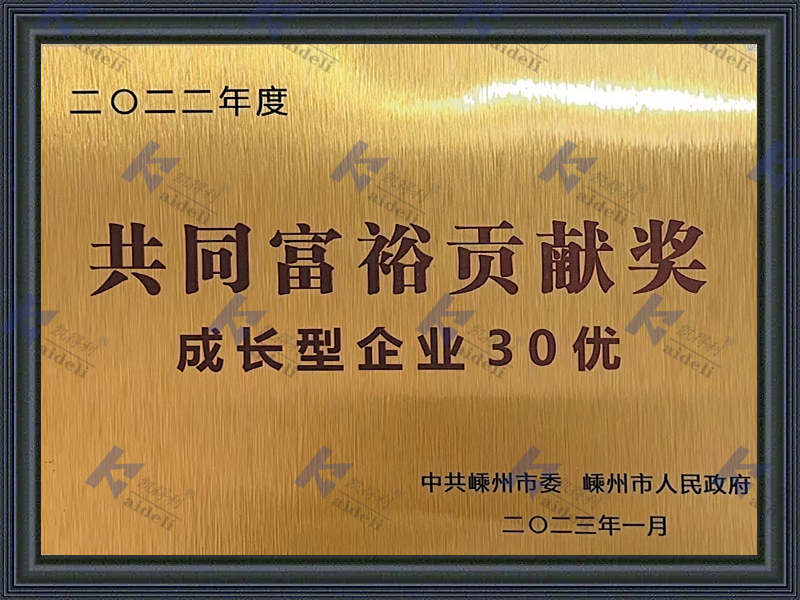 共同富裕贡献奖